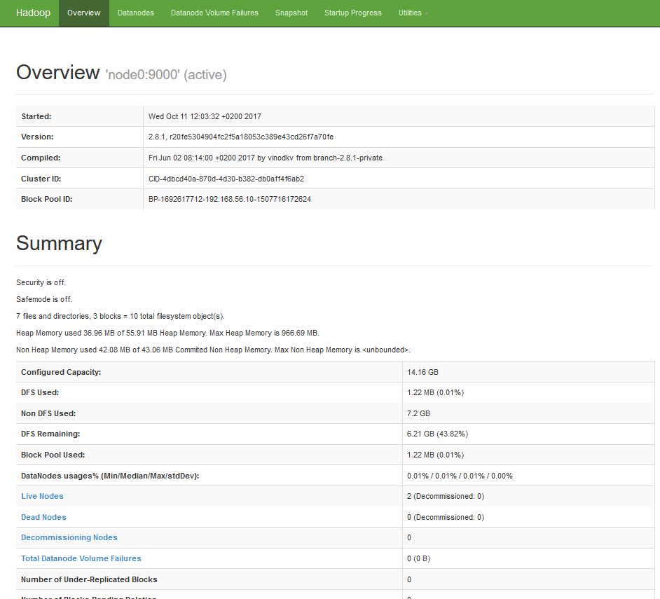 Screenshot of HDFS Web UI